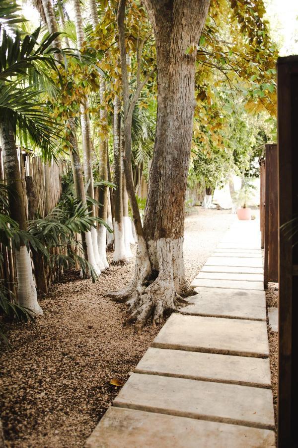 Hotel Selva Maya バカラル エクステリア 写真